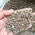 খেসারির ভূসি (Khesari Husk)