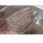 মসুর ভূসি (Lentil Husk)
