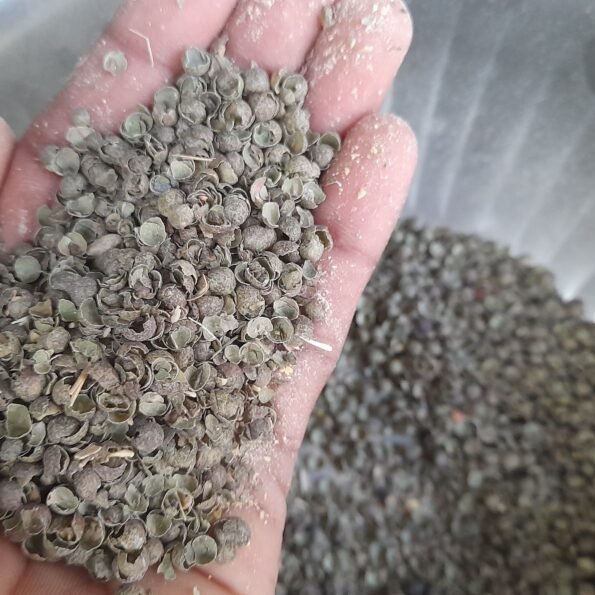 মটরের ভূসি Peas Husk