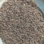 খেসারির ভূসি (Khesari Husk)