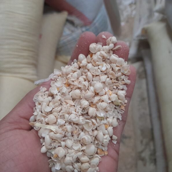 ডাবলির ভূসি/এংকারের ভূসি